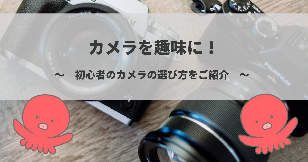 カメラを趣味に 初心者におすすめの選び方をご紹介します